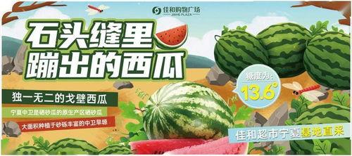 今日吃瓜首页热门,揭秘热门事件背后的真相与内幕